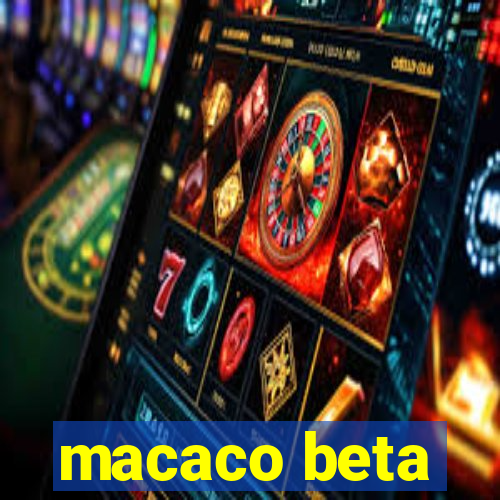 macaco beta