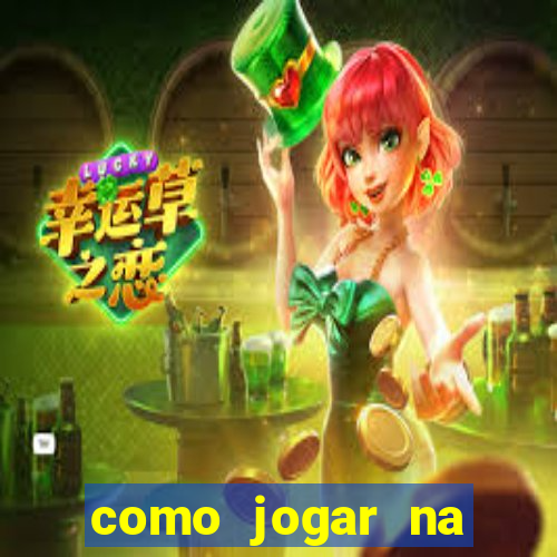 como jogar na teimosinha da lotofacil