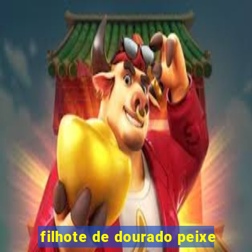 filhote de dourado peixe