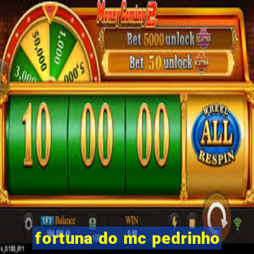 fortuna do mc pedrinho