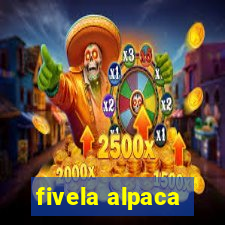 fivela alpaca