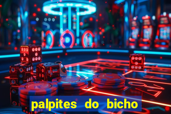 palpites do bicho no celular