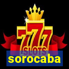 sorocaba popula莽茫o 2024