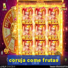 coruja come frutas