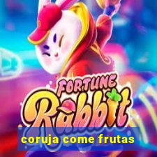 coruja come frutas