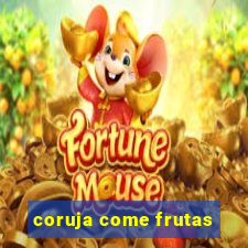 coruja come frutas