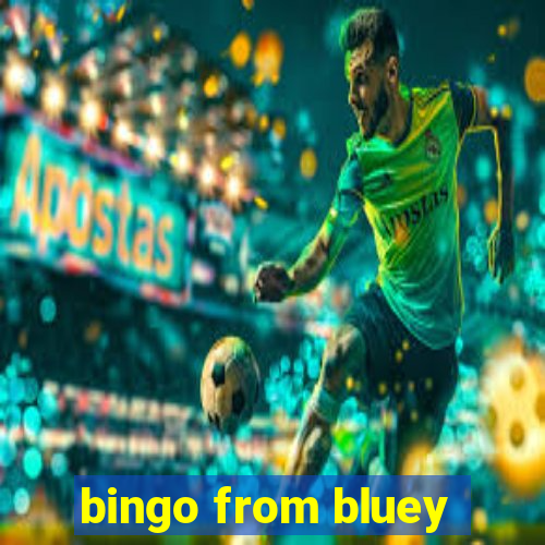 bingo from bluey