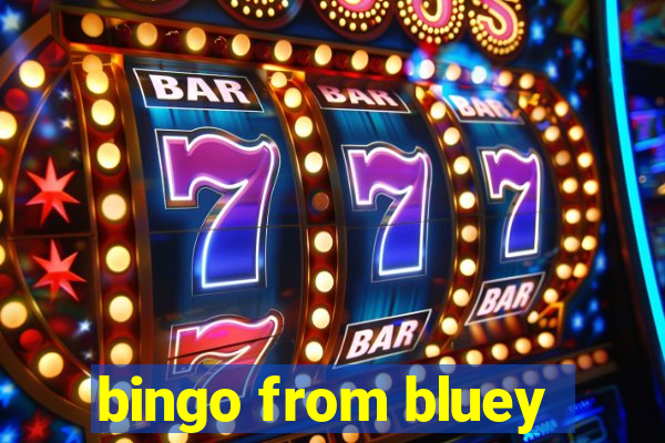 bingo from bluey