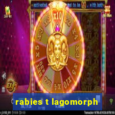 rabies t lagomorph