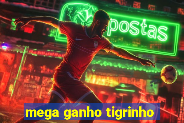 mega ganho tigrinho