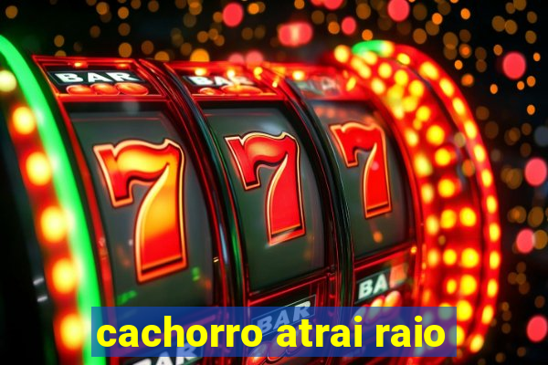 cachorro atrai raio