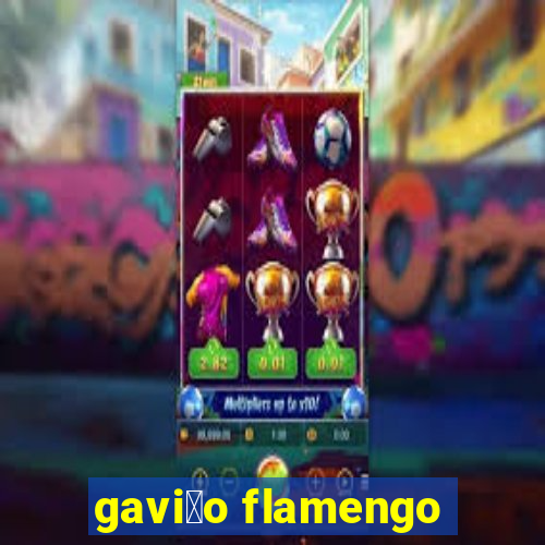 gavi茫o flamengo