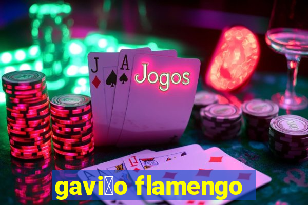 gavi茫o flamengo