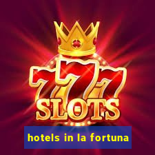 hotels in la fortuna