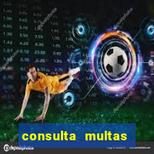 consulta multas detran mg