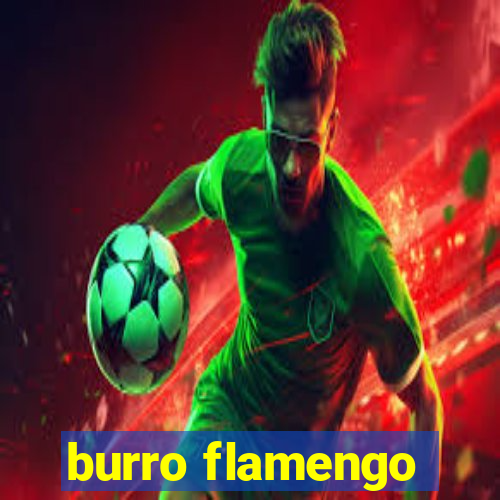 burro flamengo