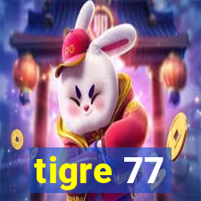 tigre 77