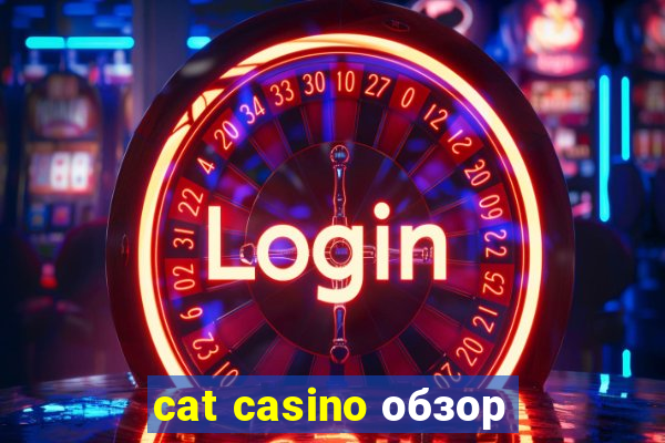 cat casino обзор