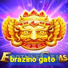 brazino gato