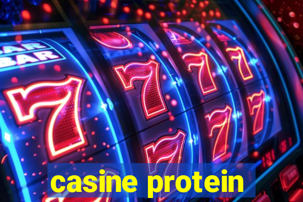 casine protein