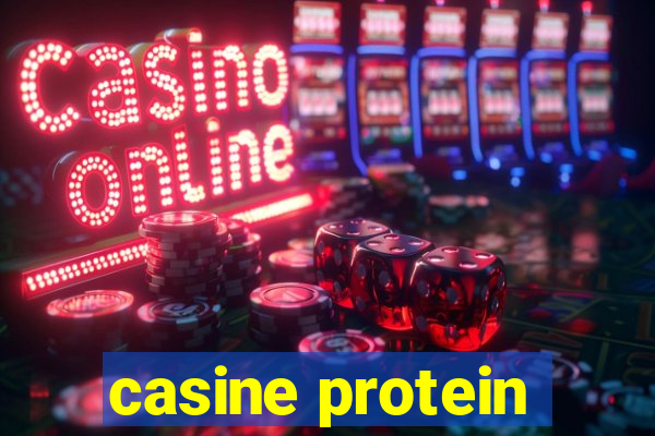 casine protein