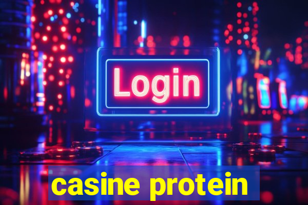 casine protein