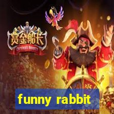 funny rabbit