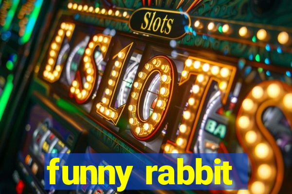 funny rabbit