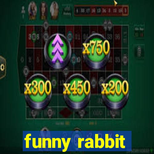 funny rabbit