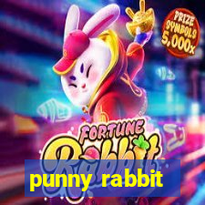 punny rabbit