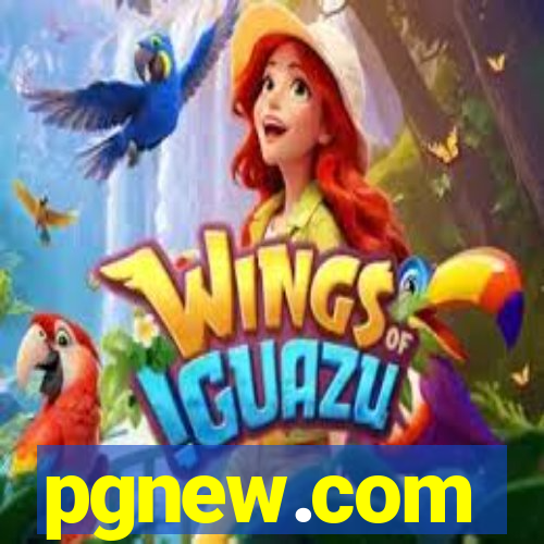 pgnew.com