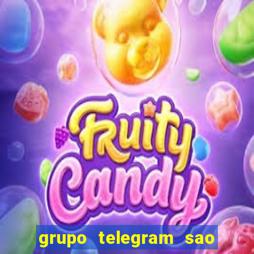 grupo telegram sao jose do rio preto