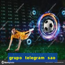 grupo telegram sao jose do rio preto