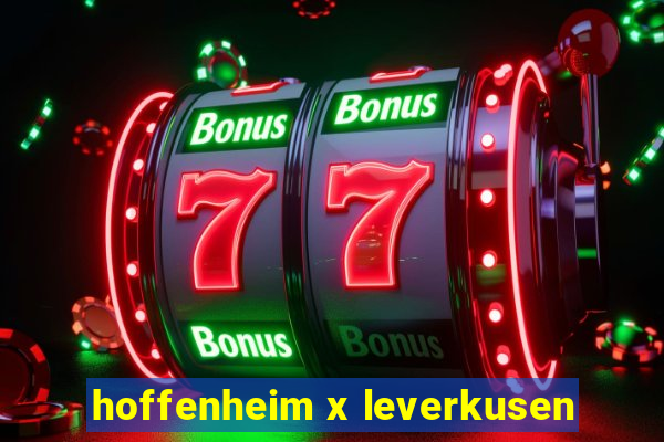 hoffenheim x leverkusen