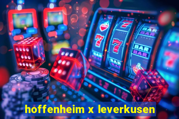 hoffenheim x leverkusen