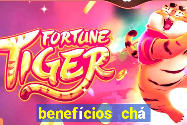 benefícios chá dente de leão