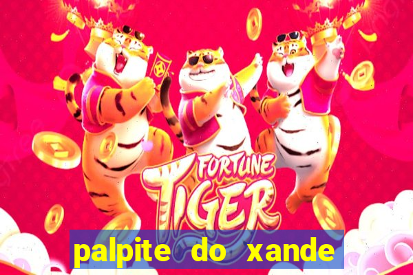 palpite do xande de hoje