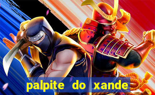 palpite do xande de hoje