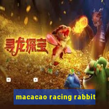 macacao racing rabbit