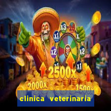 clinica veterinaria cuidar betim