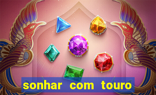 sonhar com touro mega sena