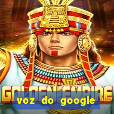 voz do google tradutor homem