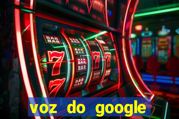 voz do google tradutor homem