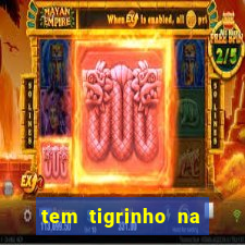 tem tigrinho na bet 365