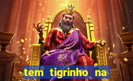 tem tigrinho na bet 365