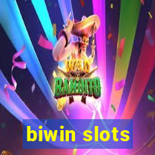 biwin slots