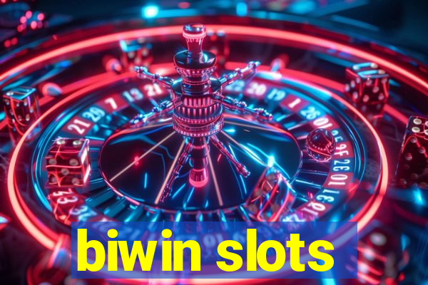 biwin slots