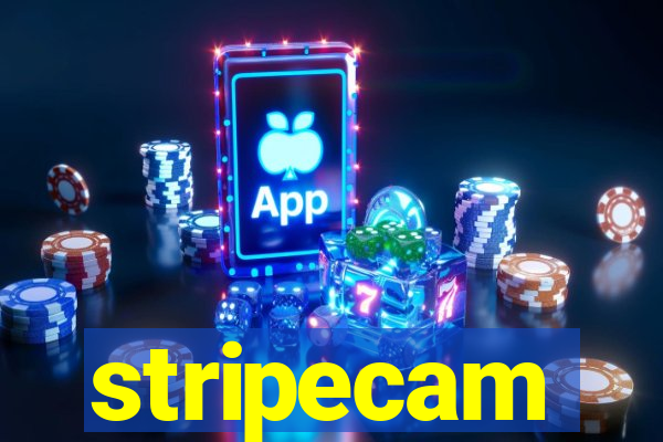 stripecam