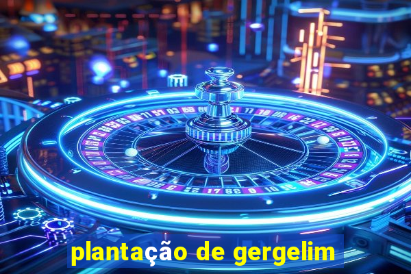 plantação de gergelim