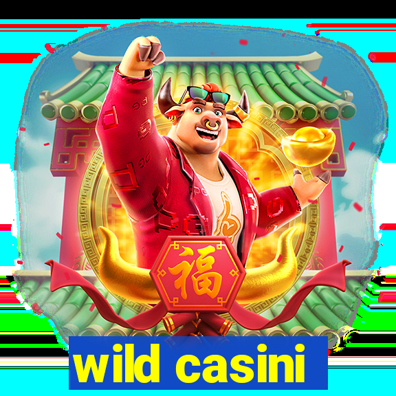 wild casini